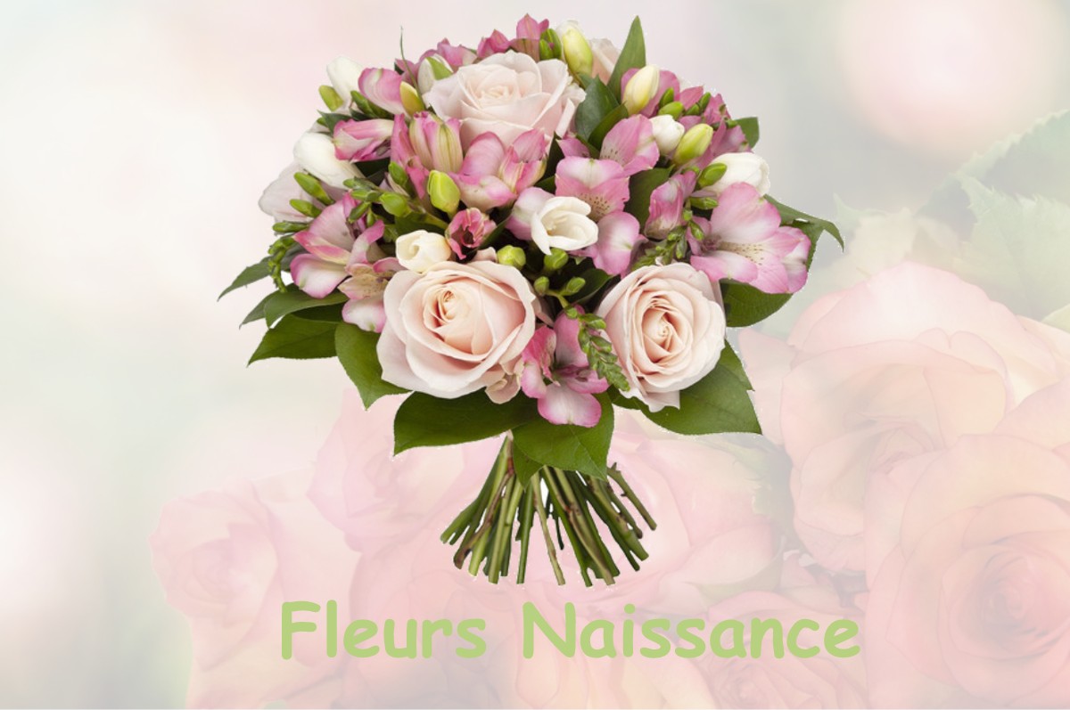 fleurs naissance LUSSAN-ADEILHAC