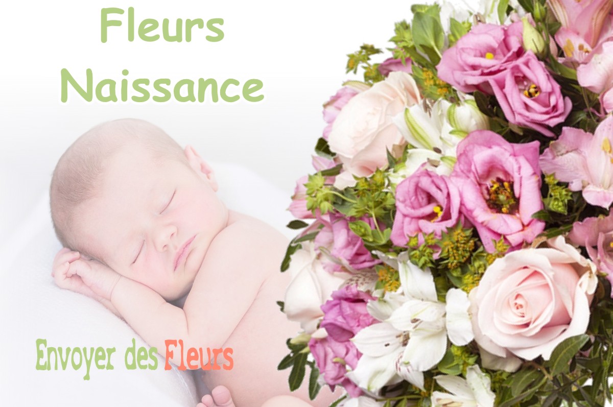 lIVRAISON FLEURS NAISSANCE à LUSSAN-ADEILHAC